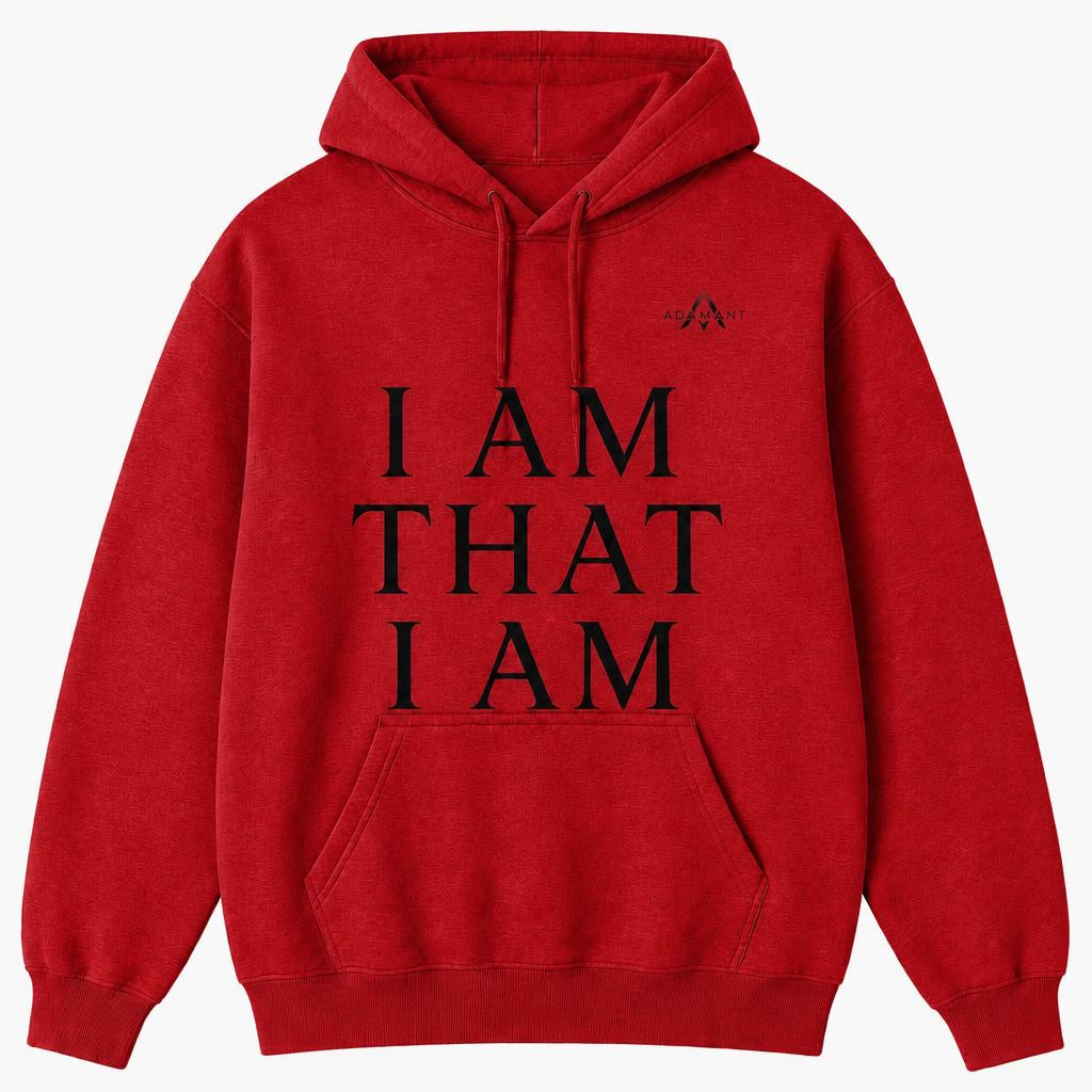 adamant I AM hoodie